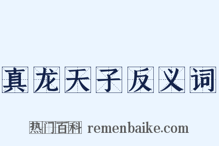 真龙天子反义词是什么意思的图片